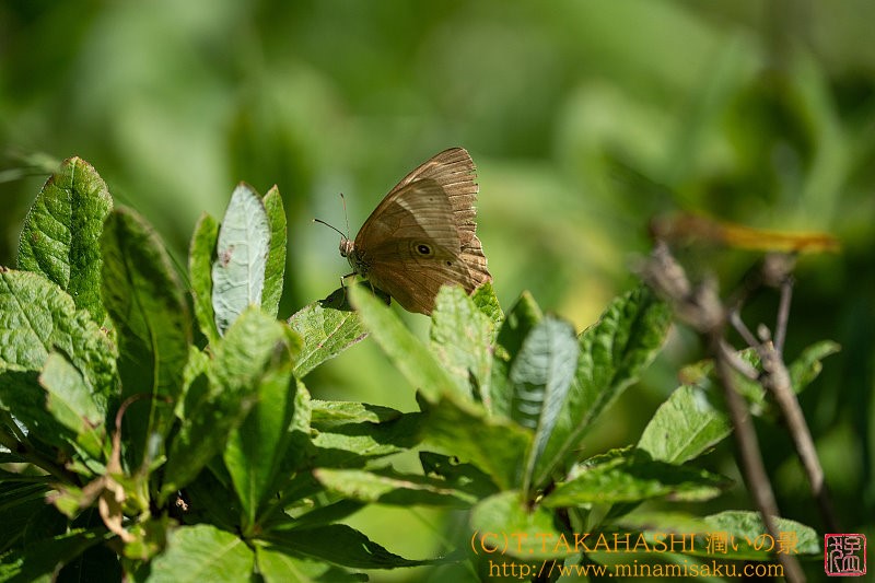 ../Images/7R240812 (68).jpg